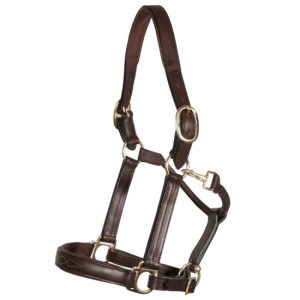 Halters