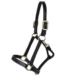 Halters